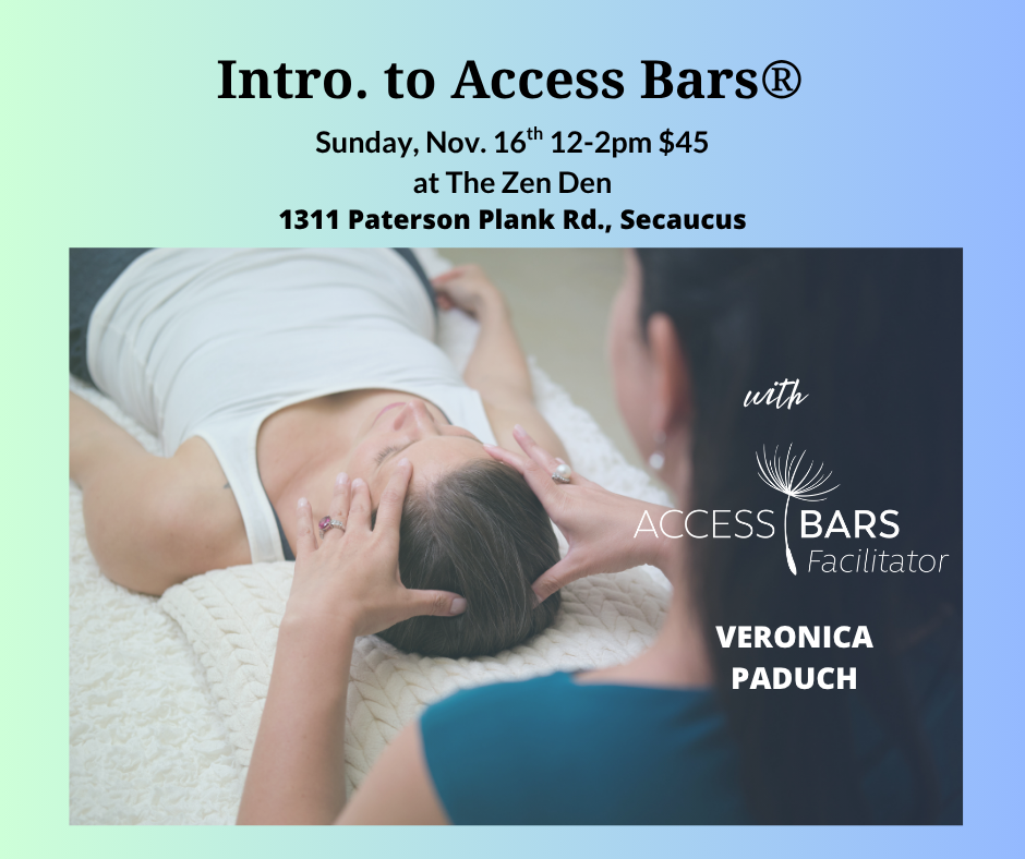 Read more about the article Intro to Access Bars®